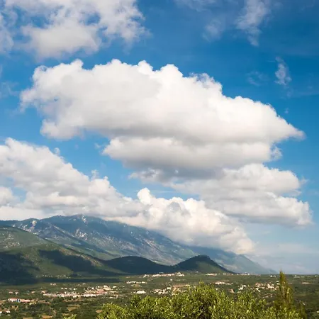 Virginia - In Helmata